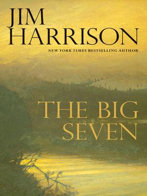 cover image of The Big Seven